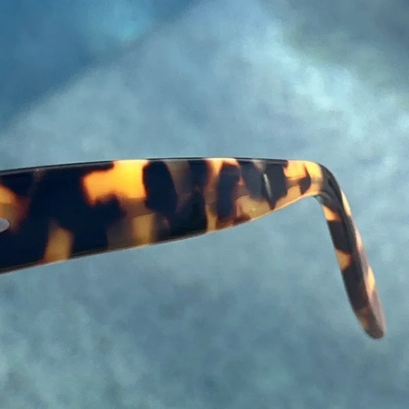 BARTON PERREIRA ISADORA Sunglass Frames - Picture 7 of 16